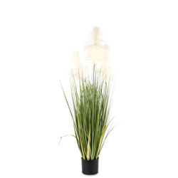 Roślina trzcina Dekoracyjna trawa Led w Doniczce  122cm x 50cm x 43cm