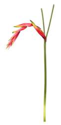 Kwiat Sztuczny ozdobny kolor czerwony wys.95cm