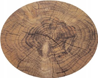 Podkładka Korkowa Mata stołowa pod talerz 38 cm
